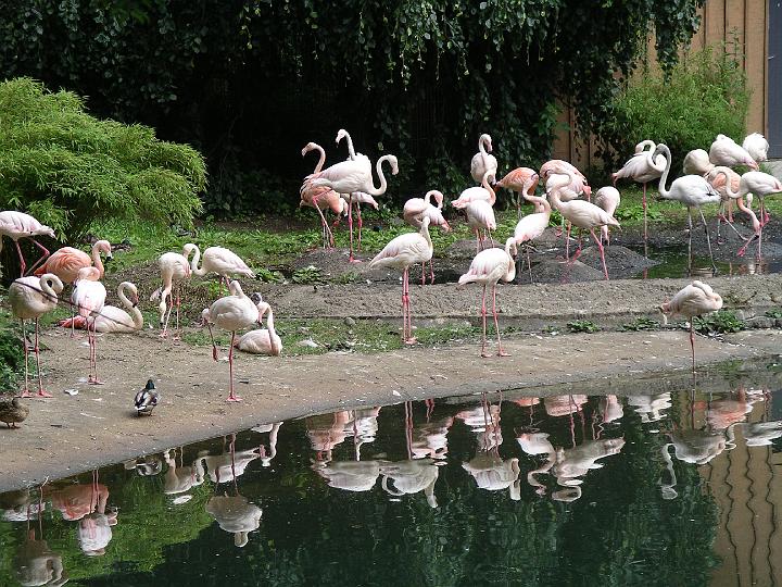 Berlijn 2009 ZOO168.jpg